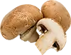 mushrooms